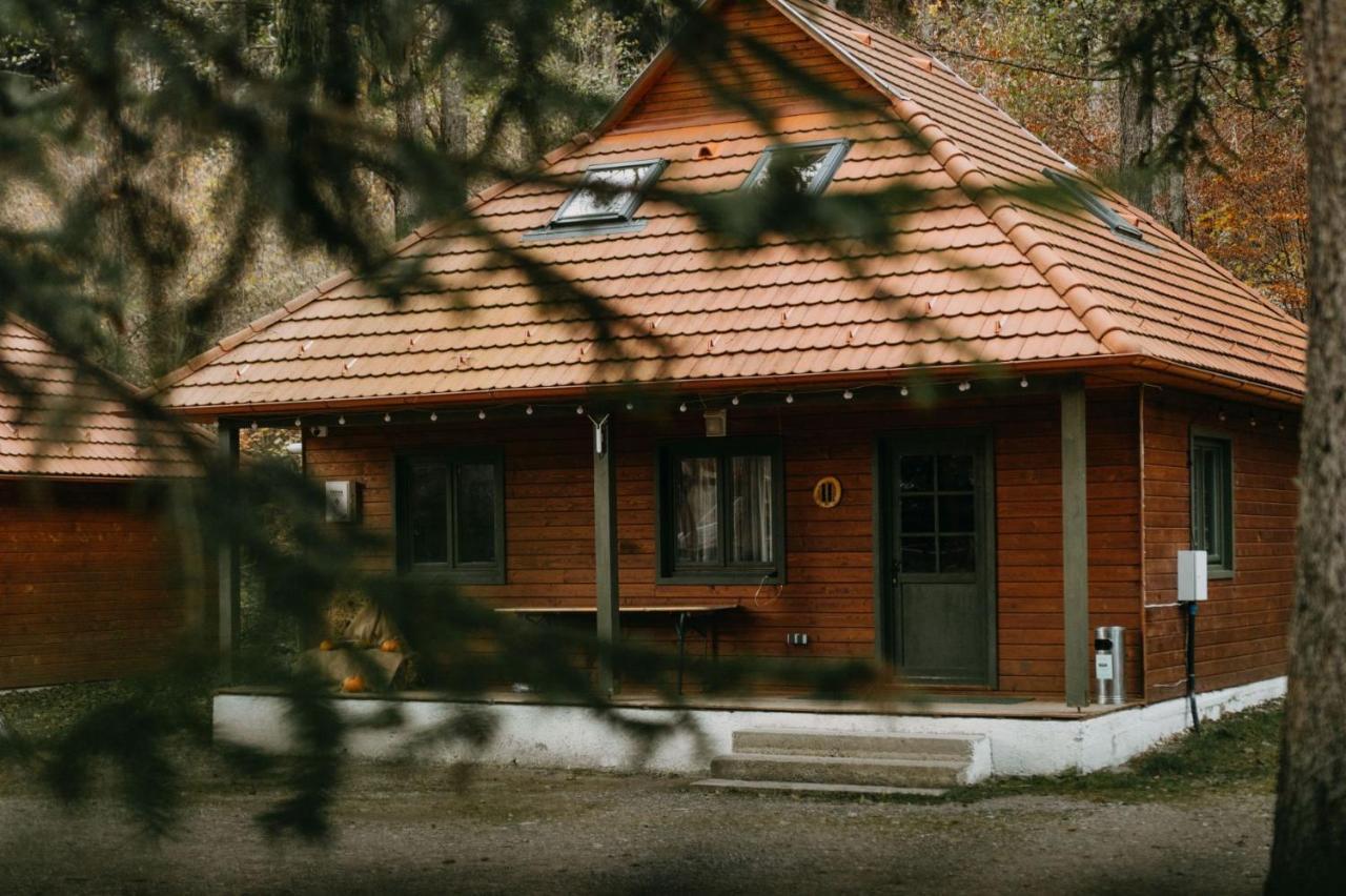 Tusnad Camping Băile Tusnad Εξωτερικό φωτογραφία