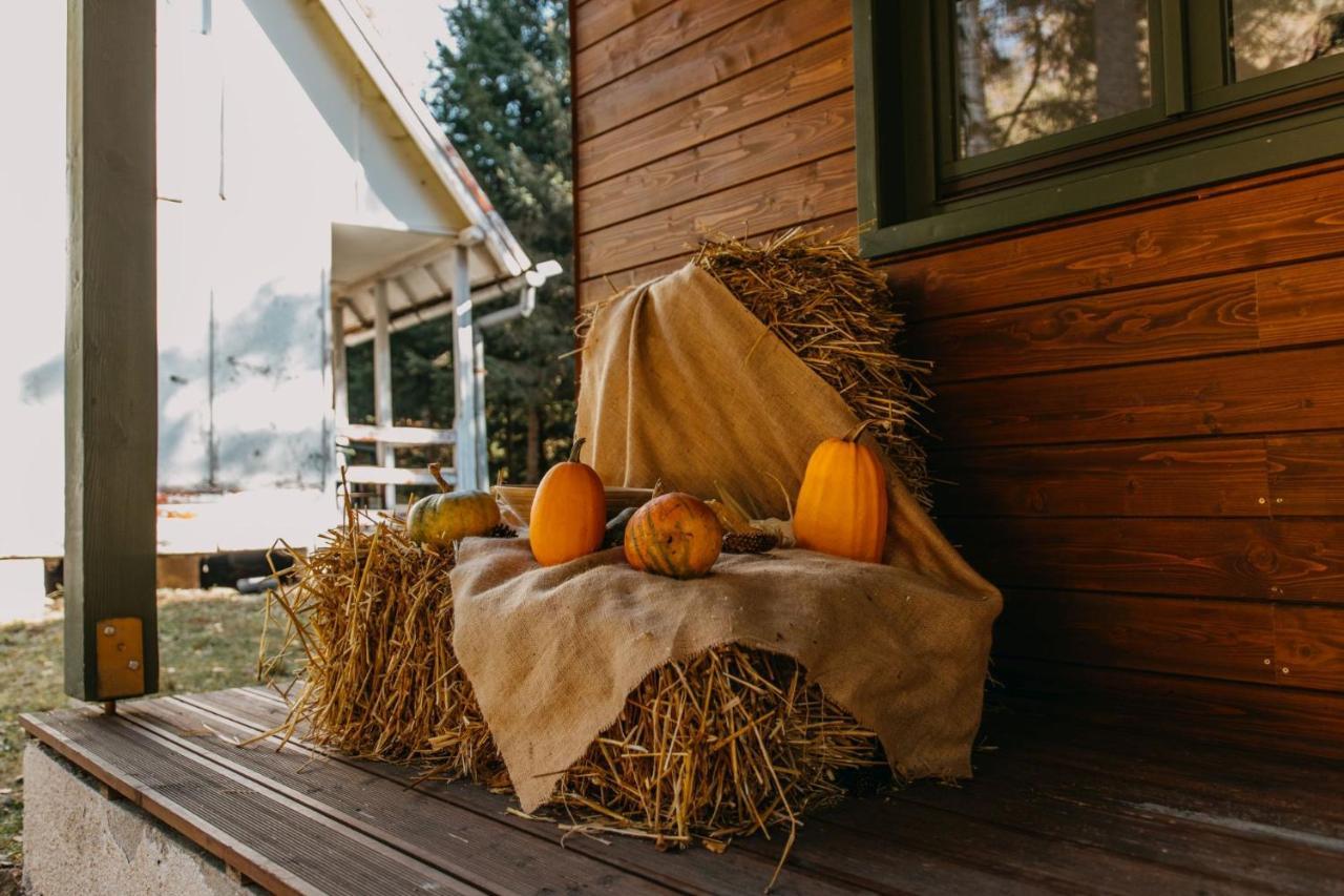 Tusnad Camping Băile Tusnad Εξωτερικό φωτογραφία