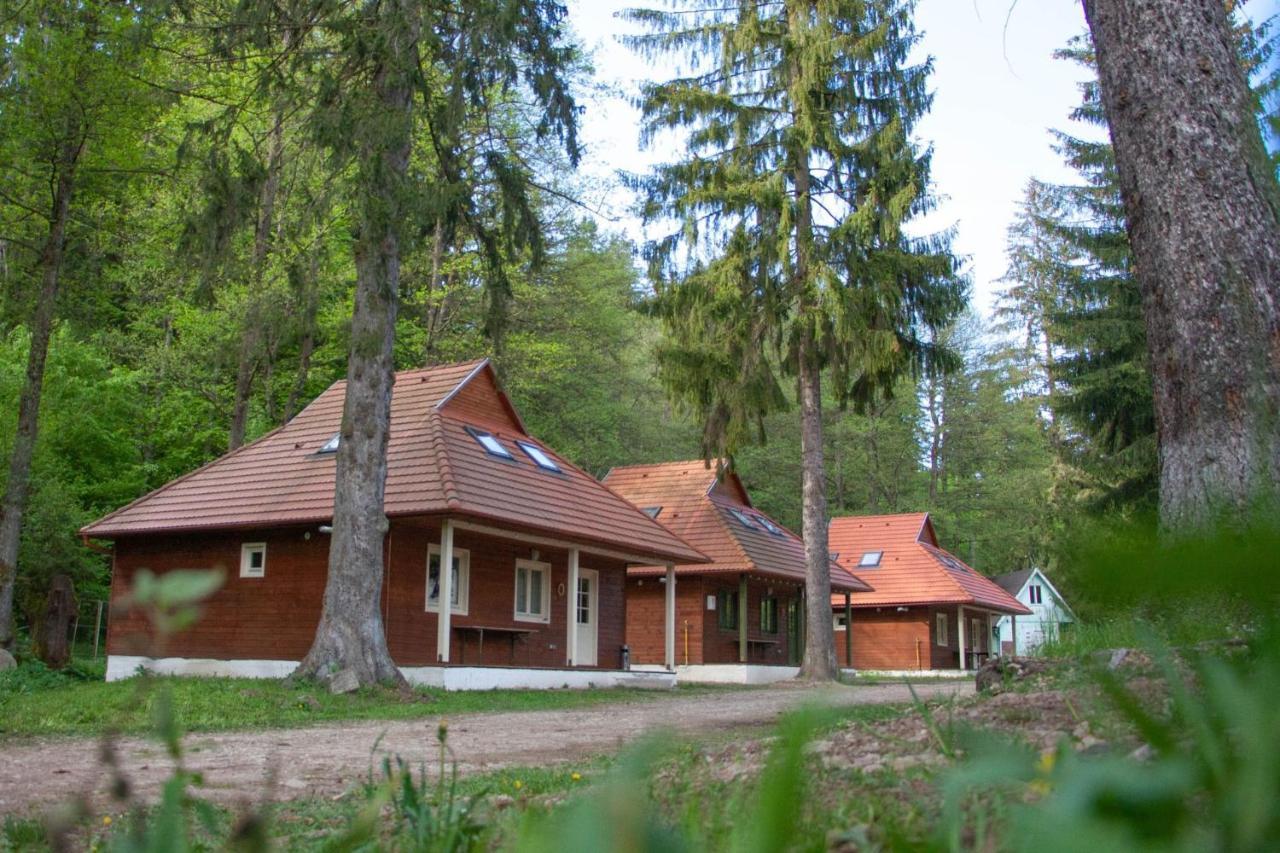 Tusnad Camping Băile Tusnad Εξωτερικό φωτογραφία
